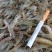 小海虾，河虾虾米一手货源，每天有货，大量有货批发零售