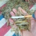 小海虾，河虾虾米一手货源，每天有货，大量有货批发零售