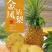 海南万宁原产地菠萝-金钻凤梨长期供货量大优惠代发全国