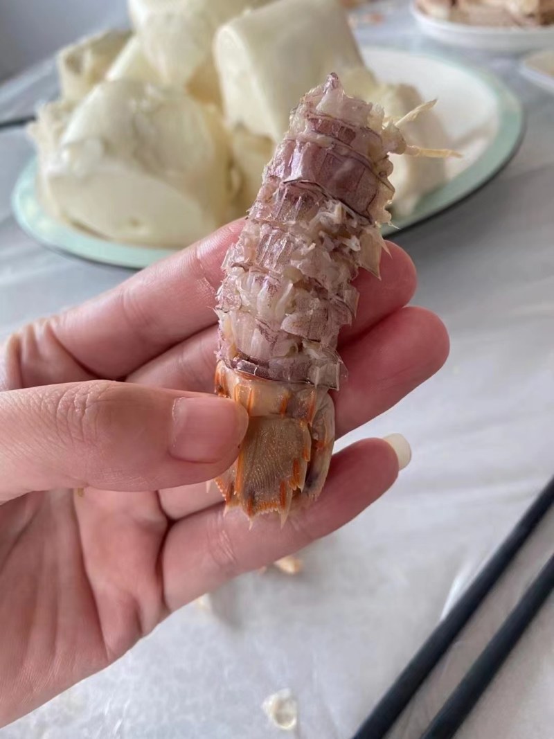 皮皮虾。虾爬子