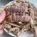 皮皮虾。虾爬子