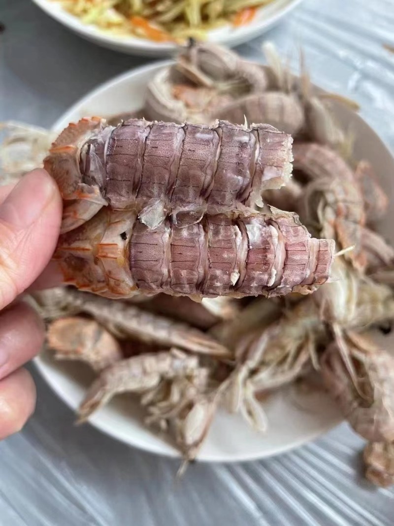 皮皮虾。虾爬子