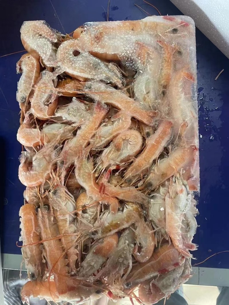 皮皮虾。虾爬子