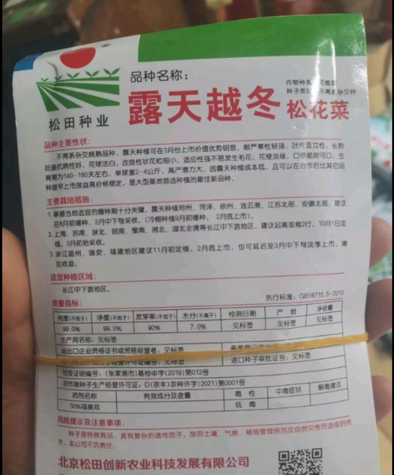 露天越冬松花菜种子耐严寒性强花菜洁白细花粒商品性强