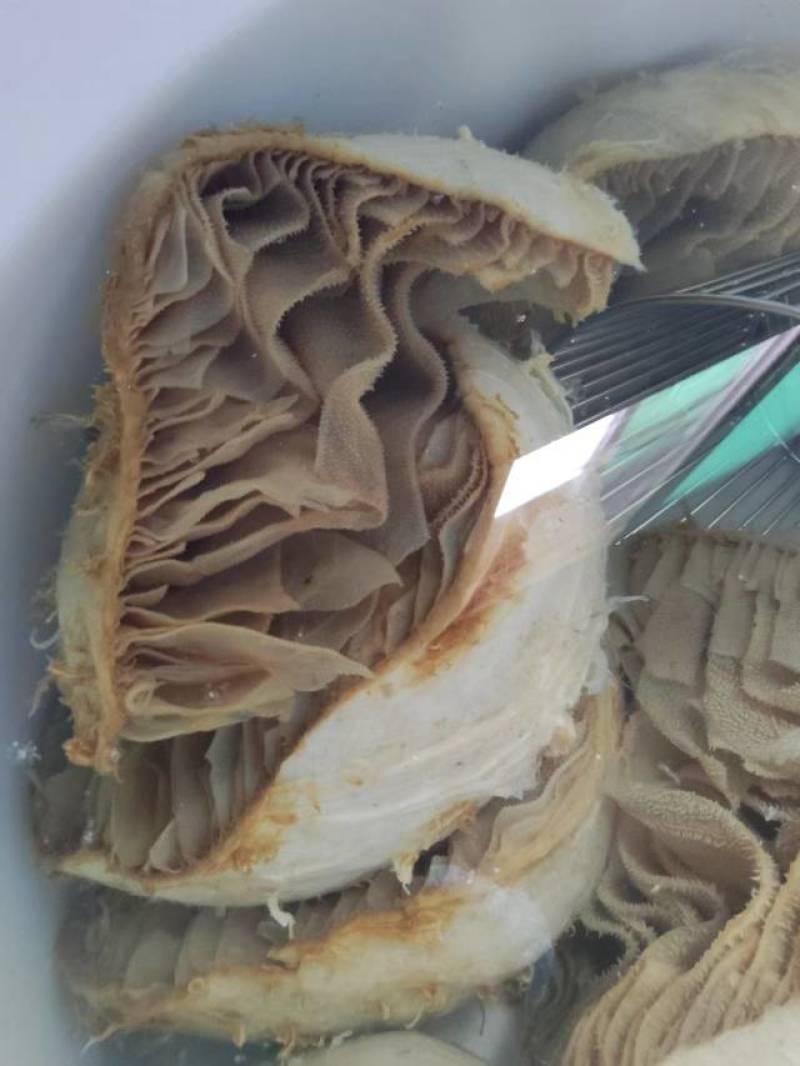 四川重庆整个毛肚百叶火锅食材涮牛肚带底板冷整块半成品冻免