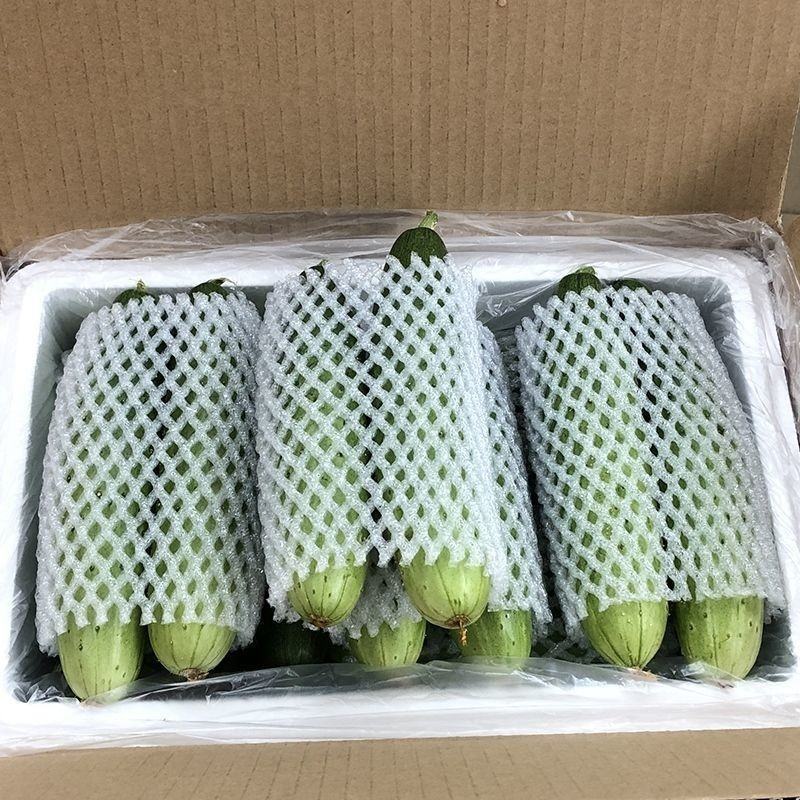 [优]水果黄瓜脆黄瓜产地一手货源支持视频看货