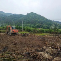 中药种植基地出租