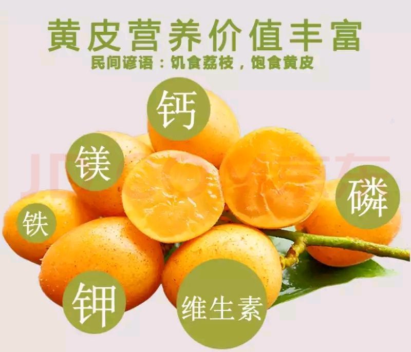 今年6月上市，广东郁南无核/鸡心/冰糖黄皮果，精品礼盒装