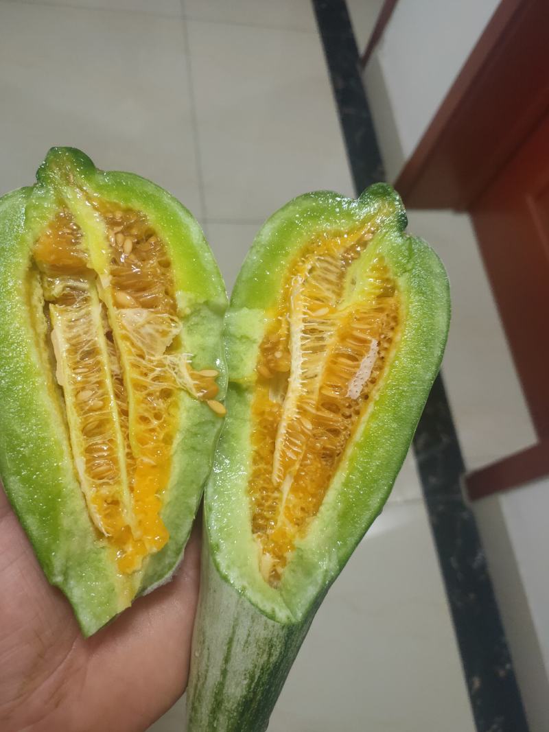 羊角蜜甜瓜苗直播羊角蜜苗酥香脆甜直播苗齐全