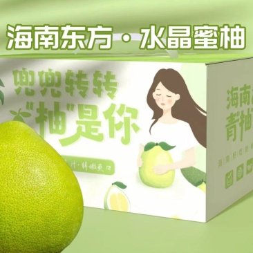顺丰京东包邮海南东方水晶蜜柚青柚品种非泰国青柚