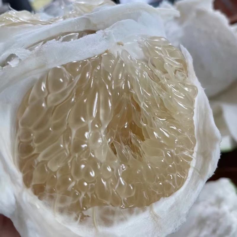 顺丰京东包邮海南东方水晶蜜柚青柚品种非泰国青柚