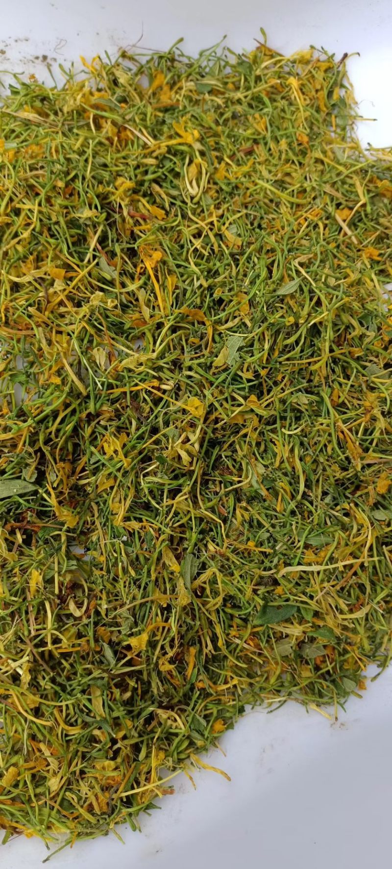 五彩金银花无硫味香新制金银花五彩花开花金银花