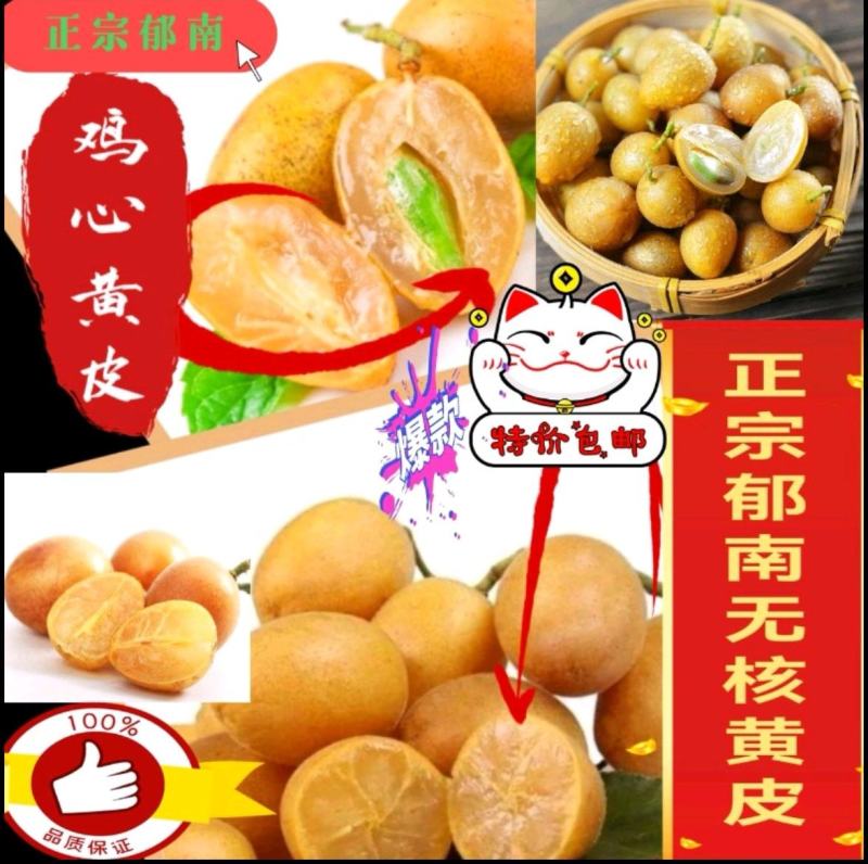 今年6月上市，广东郁南无核/鸡心/冰糖黄皮果，精品礼盒装