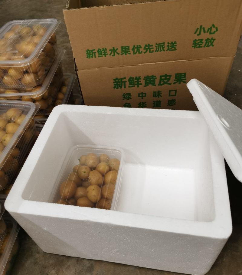 今年6月上市，广东郁南无核/鸡心/冰糖黄皮果，精品礼盒装