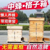 中蜂格子箱蜜蜂蜂箱杉木全套养蜂工具土蜂桶五层格子蜂箱