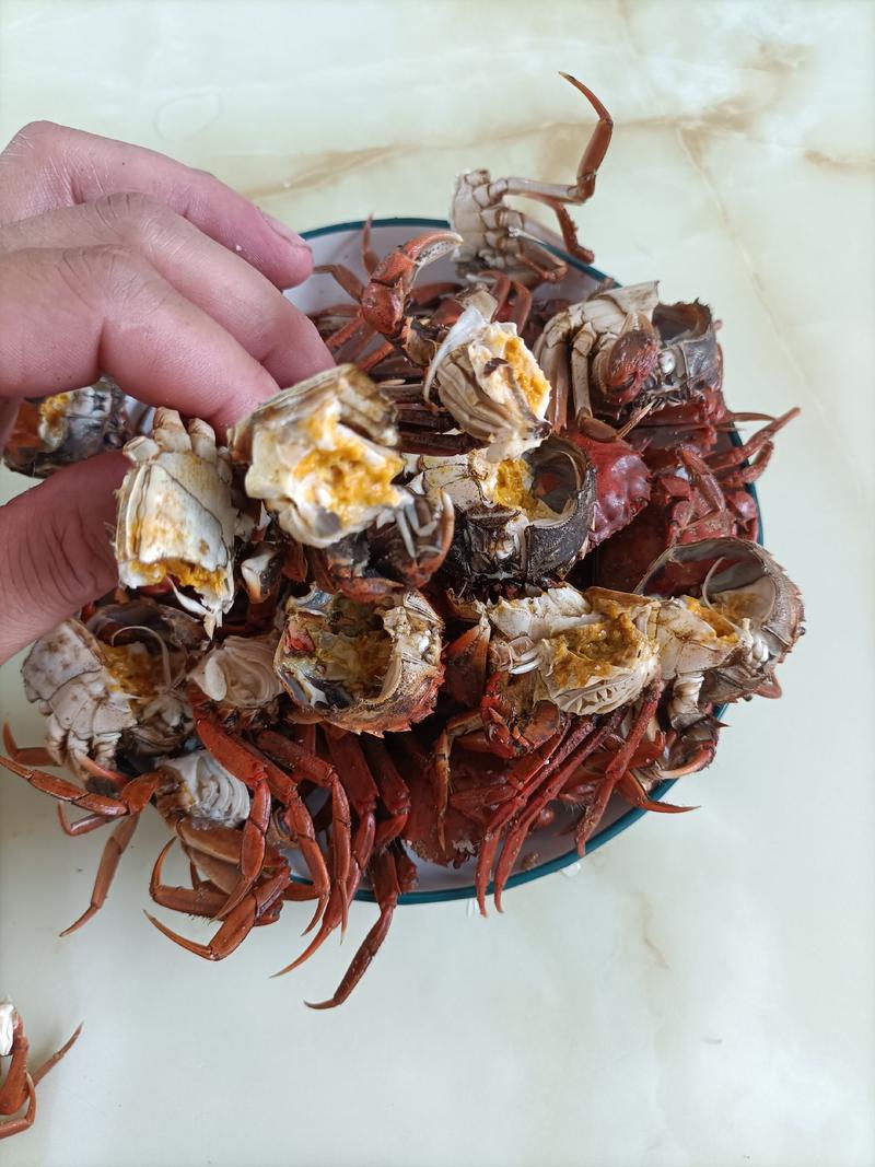 螃蟹：盘锦河蟹六月黄各种规格大量有货批发全国量大从优