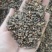 桂枝尖统装500g产地山东振兴药材购销站量大从优