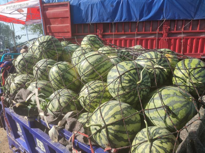 河南精品美都大量供应，货源充足质量保证，需要的老板联系我