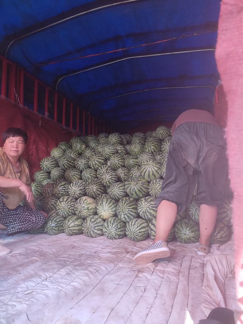 河南精品美都大量供应，货源充足质量保证，需要的老板联系我