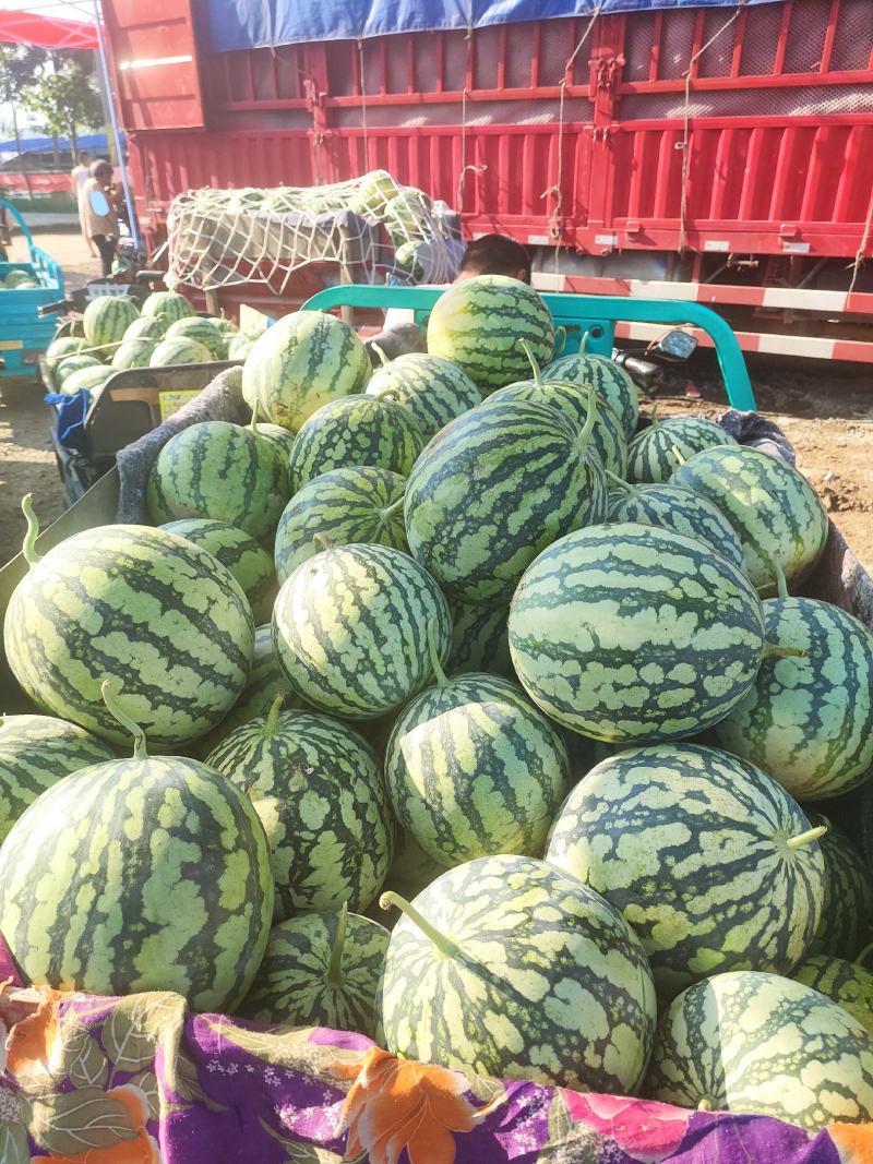 河南精品美都大量供应，货源充足质量保证，需要的老板联系我