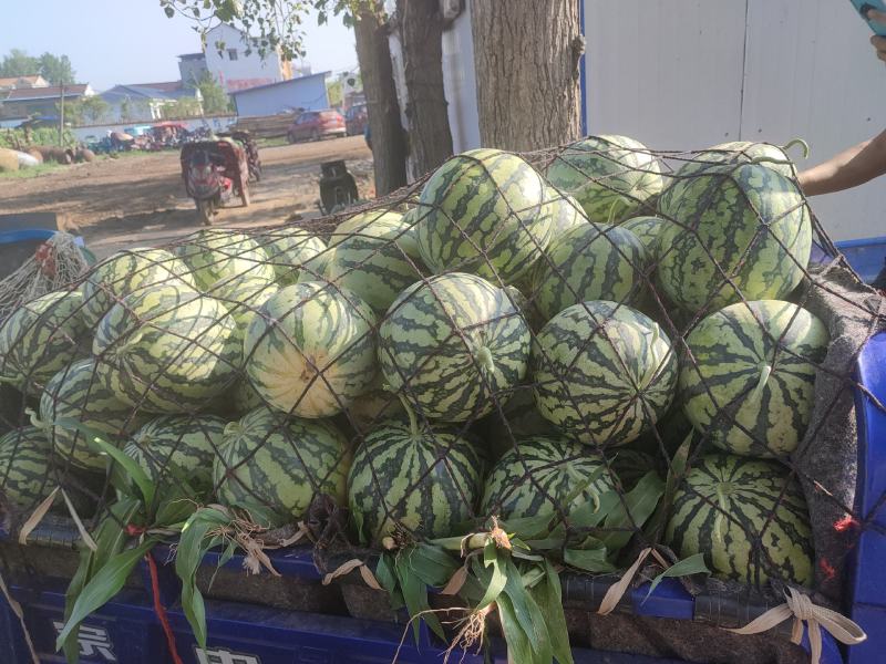 河南精品美都大量供应，货源充足质量保证，需要的老板联系我