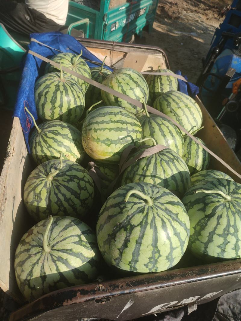 河南精品美都大量供应，货源充足质量保证，需要的老板联系我
