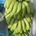 硇洲岛芭蕉靓货