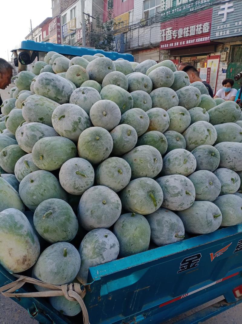 精品水果东瓜大量有货产地直供质量保证一手货源