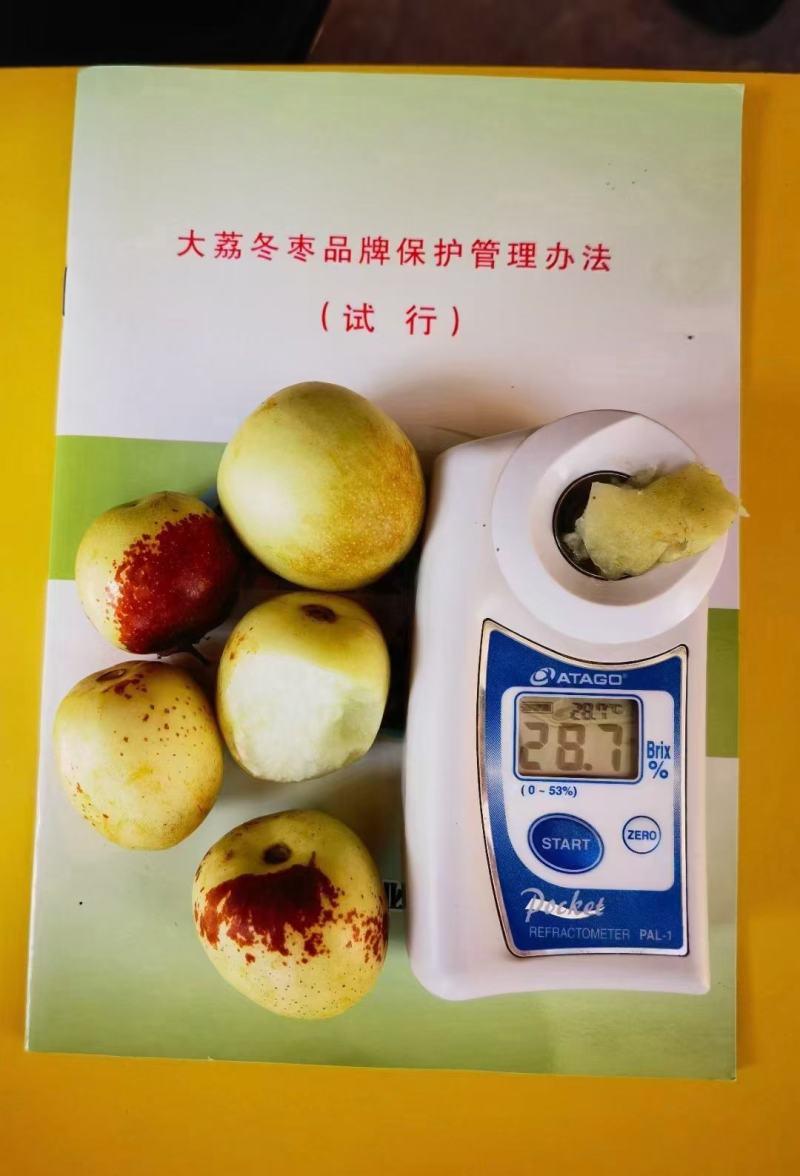 陕西省渭南大荔冬枣开始视频看货实地看货满意为止自家果园