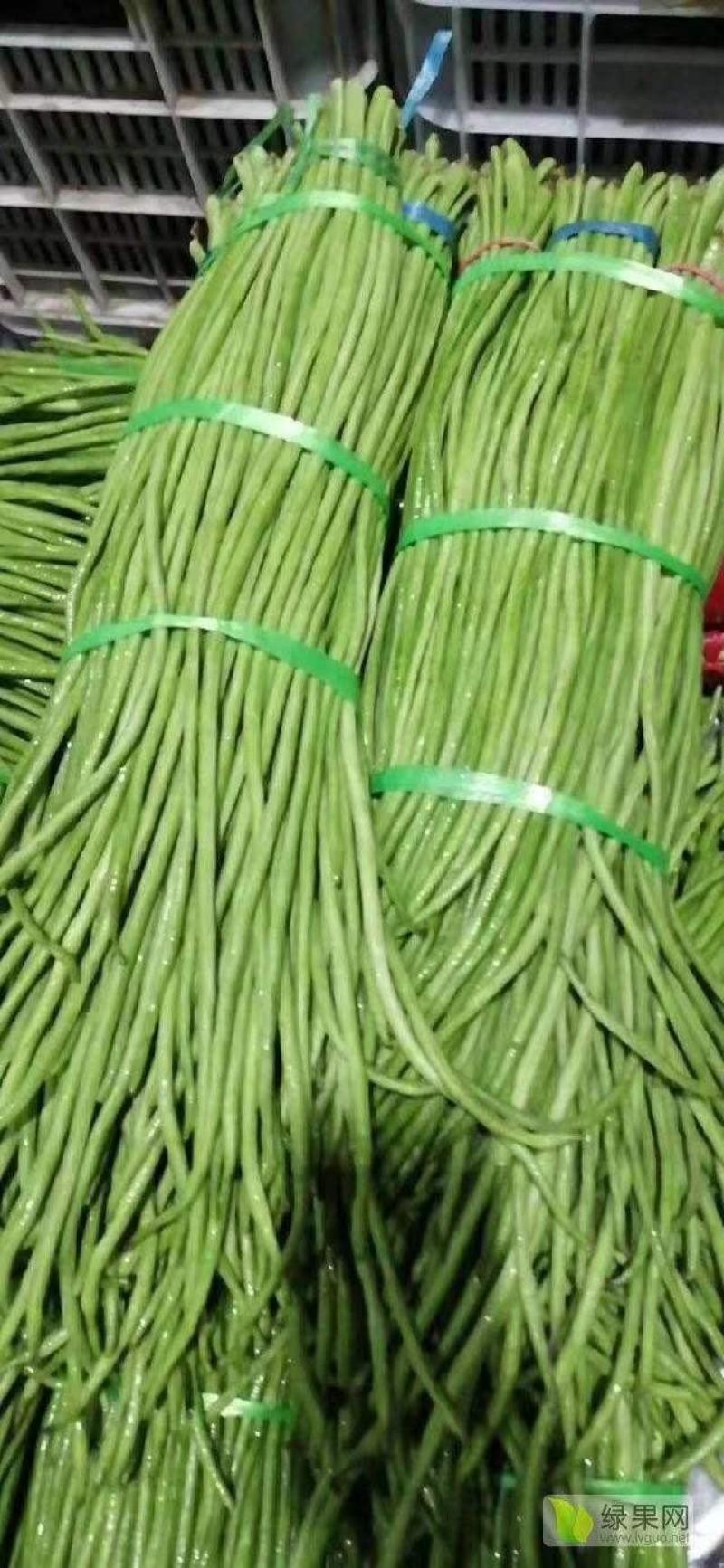 【精品】长豆角大量上市中，大量有货，欢迎选购