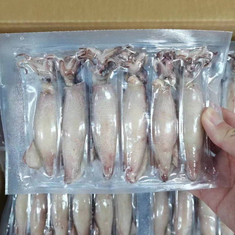 工厂直销店笔管鱼全籽籽乌