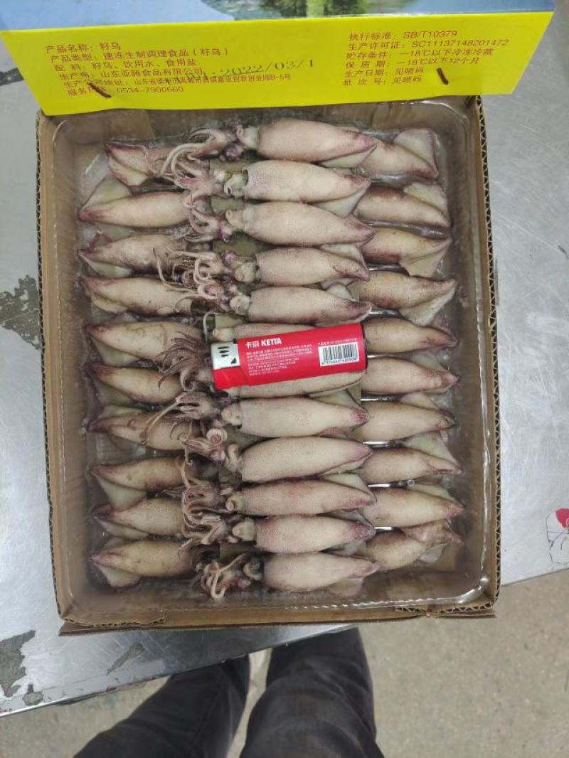 工厂直销店笔管鱼全籽籽乌