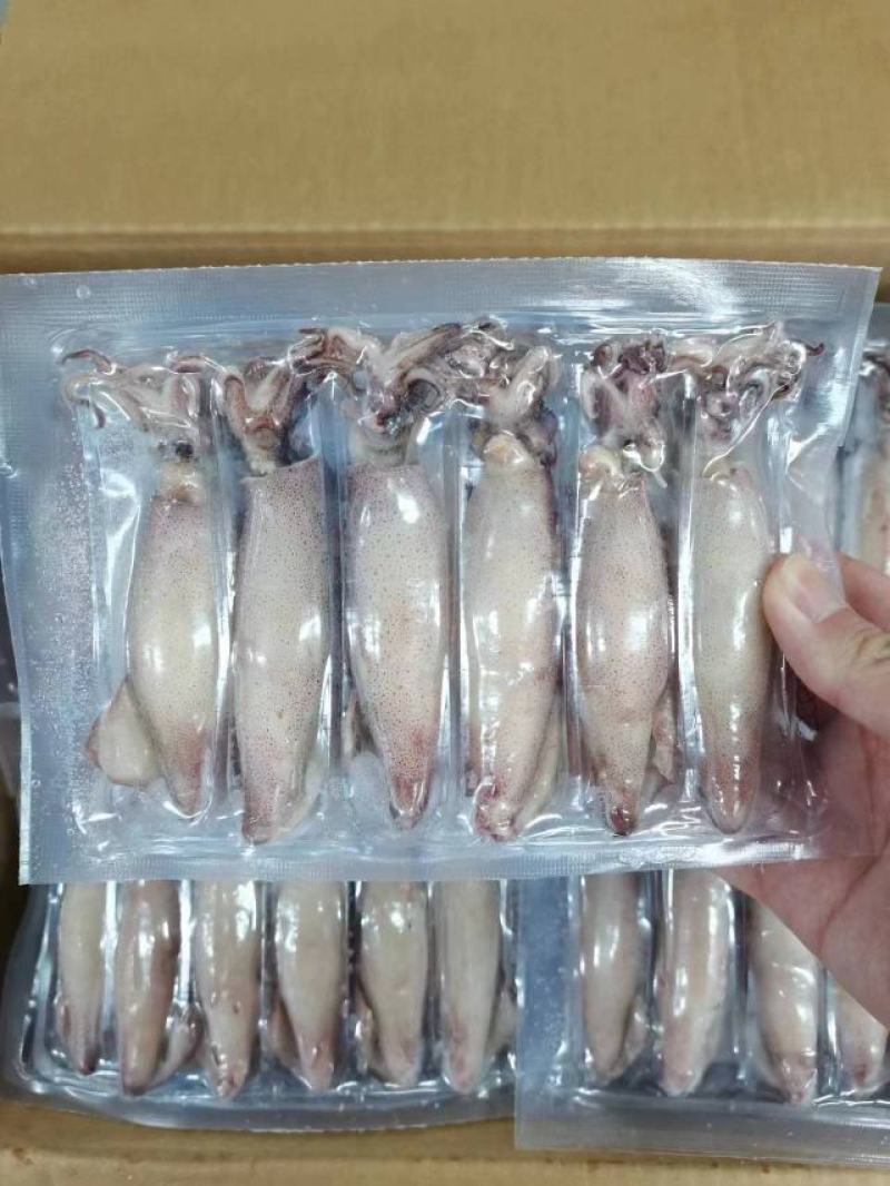 工厂直销店笔管鱼全籽籽乌