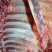 带肉牛排