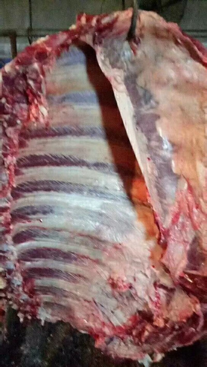 带肉牛排