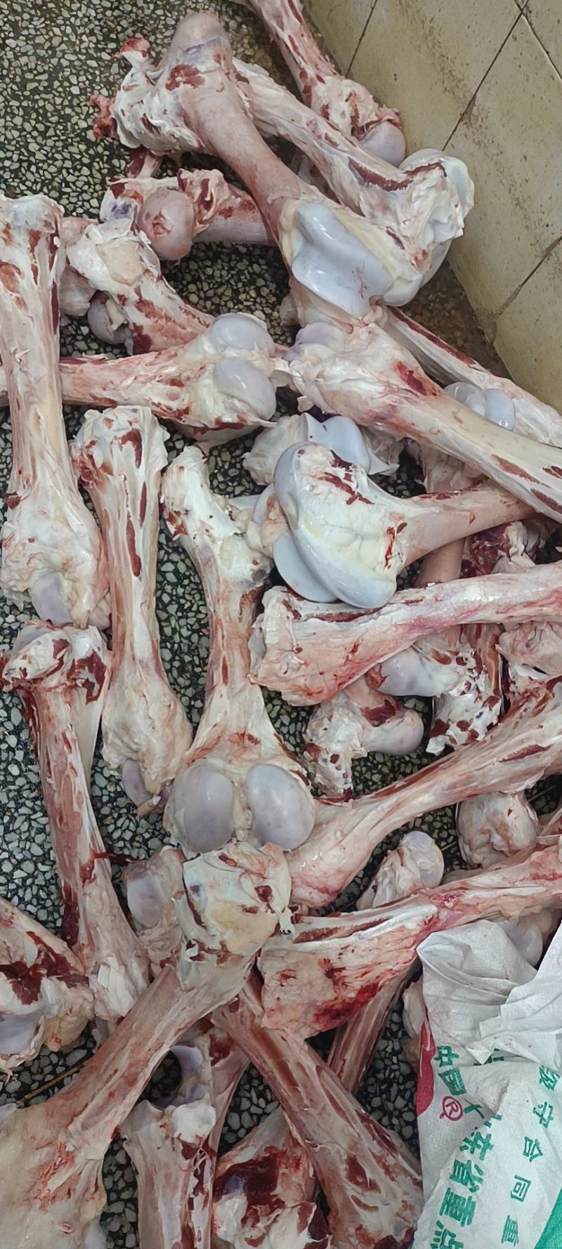 牛骨头