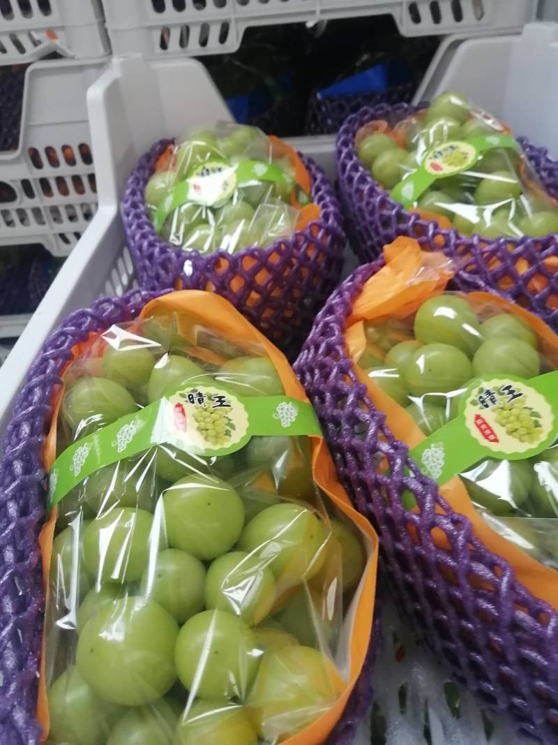 【一件代发】【批发】精品睛王葡萄阳光玫瑰发四川河南陕西河北
