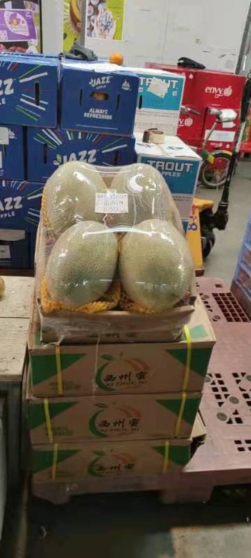 哈密瓜，哈密瓜上市了，欢迎各位老板前来收购，价格低，个我