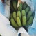香蕉