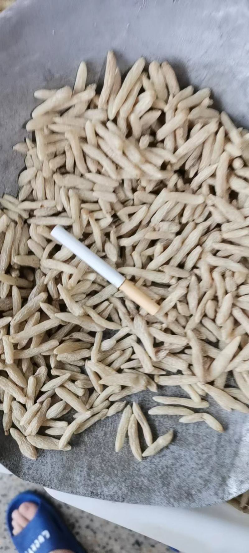羌活：正品四川野生川羌活，味道浓无假货产地直销常年经营