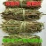 野生新鲜布惊叶黄荆草牡荆树叶月子产后草药端午节碱水粽