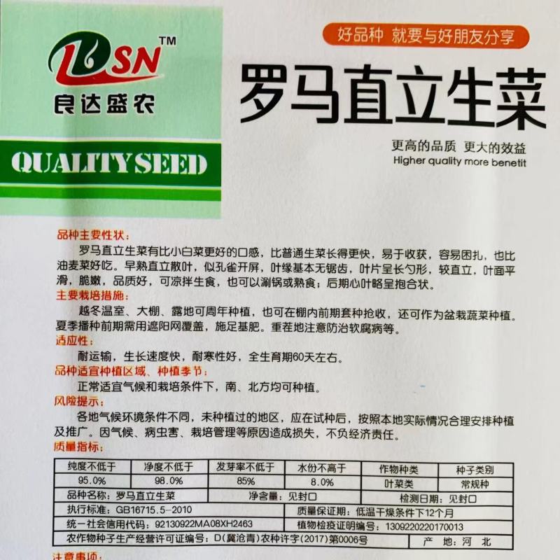 罗马直立生菜种子全国各地栽培生菜耐热蔬菜种子小菜园种子