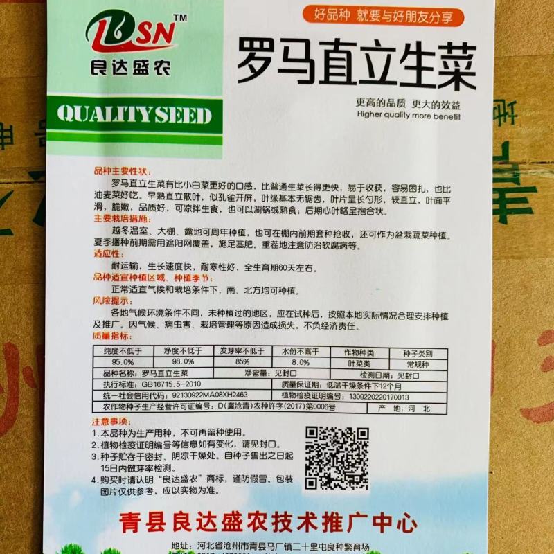 罗马直立生菜种子全国各地栽培生菜耐热蔬菜种子小菜园种子
