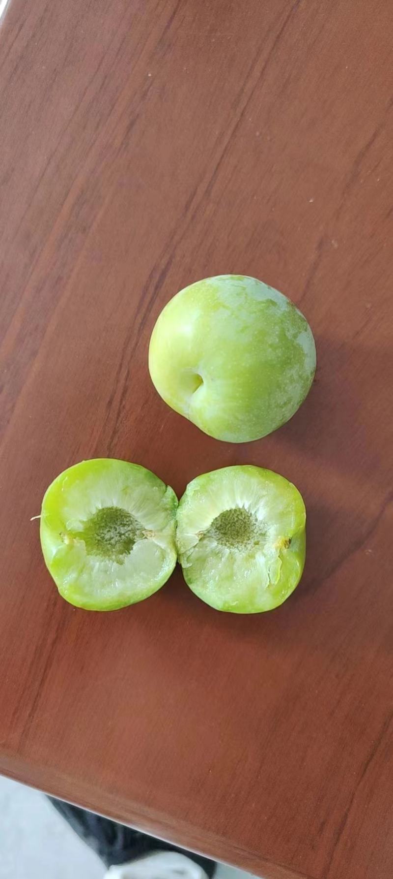 青脆李