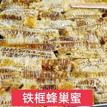 铁框蜂巢蜜菜花蜜百花蜜槐花蜜产地一手货源地摊摆摊展销会