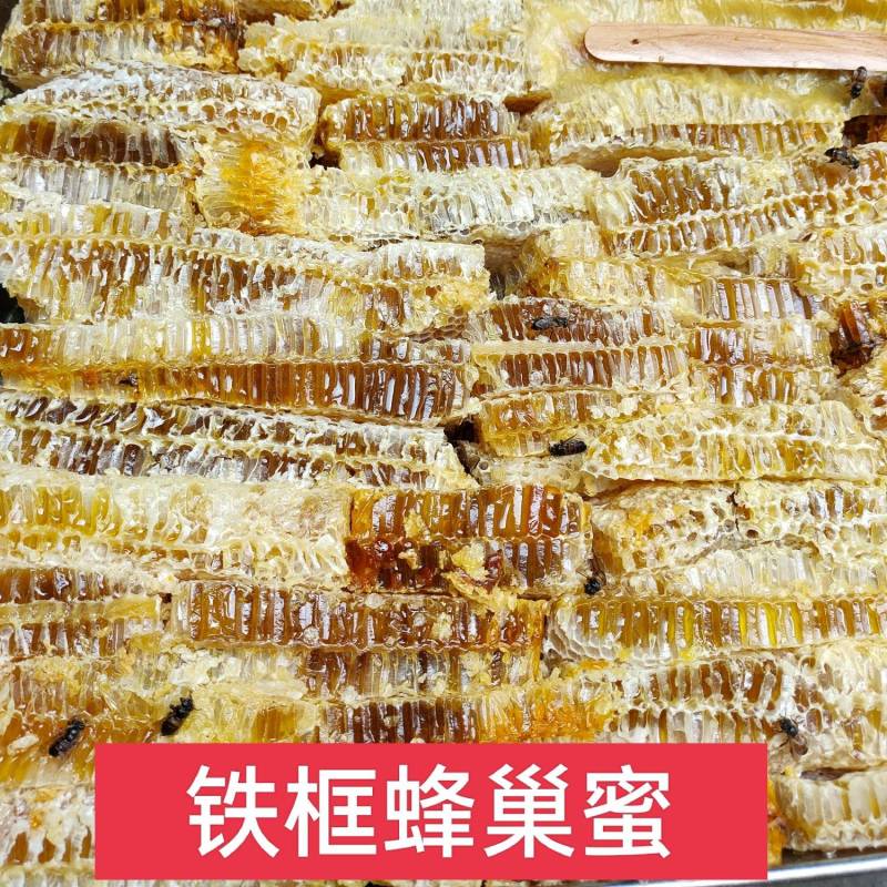 铁框蜂巢蜜菜花蜜百花蜜槐花蜜产地一手货源地摊摆摊展销会