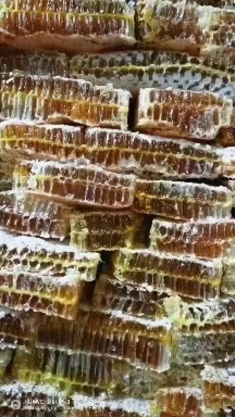 铁框蜂巢蜜菜花蜜百花蜜槐花蜜产地一手货源地摊摆摊展销会