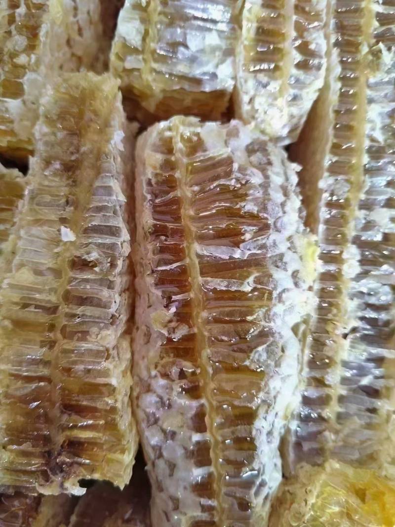 铁框蜂巢蜜菜花蜜百花蜜槐花蜜产地一手货源地摊摆摊展销会