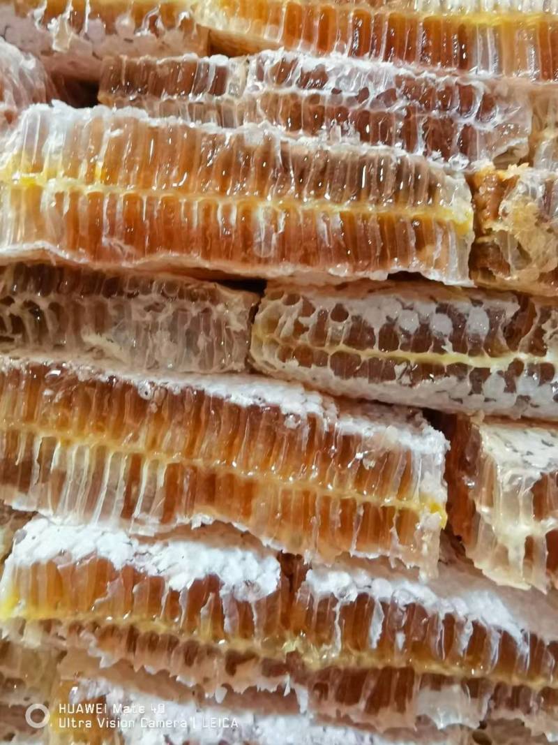 铁框蜂巢蜜菜花蜜百花蜜槐花蜜产地一手货源地摊摆摊展销会