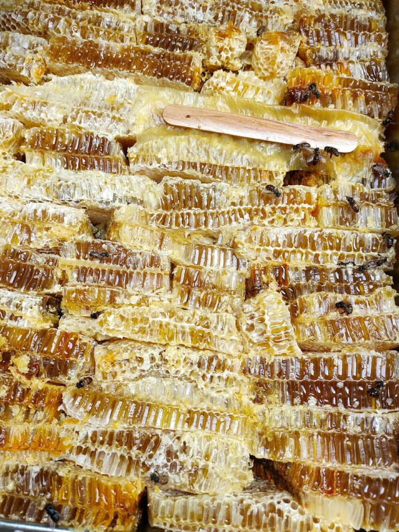 铁框蜂巢蜜菜花蜜百花蜜槐花蜜产地一手货源地摊摆摊展销会
